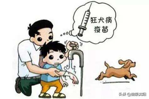 健康科普认识狂犬病了解狂犬病,专家健康科普狂犬病知识