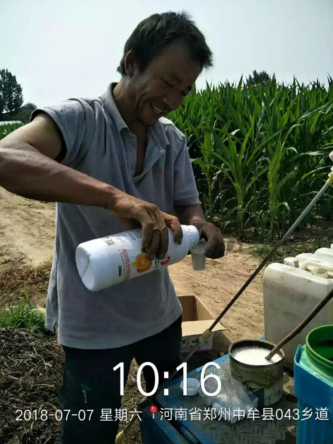 井水配药药效减半,井水打药药效减半我们该怎么做