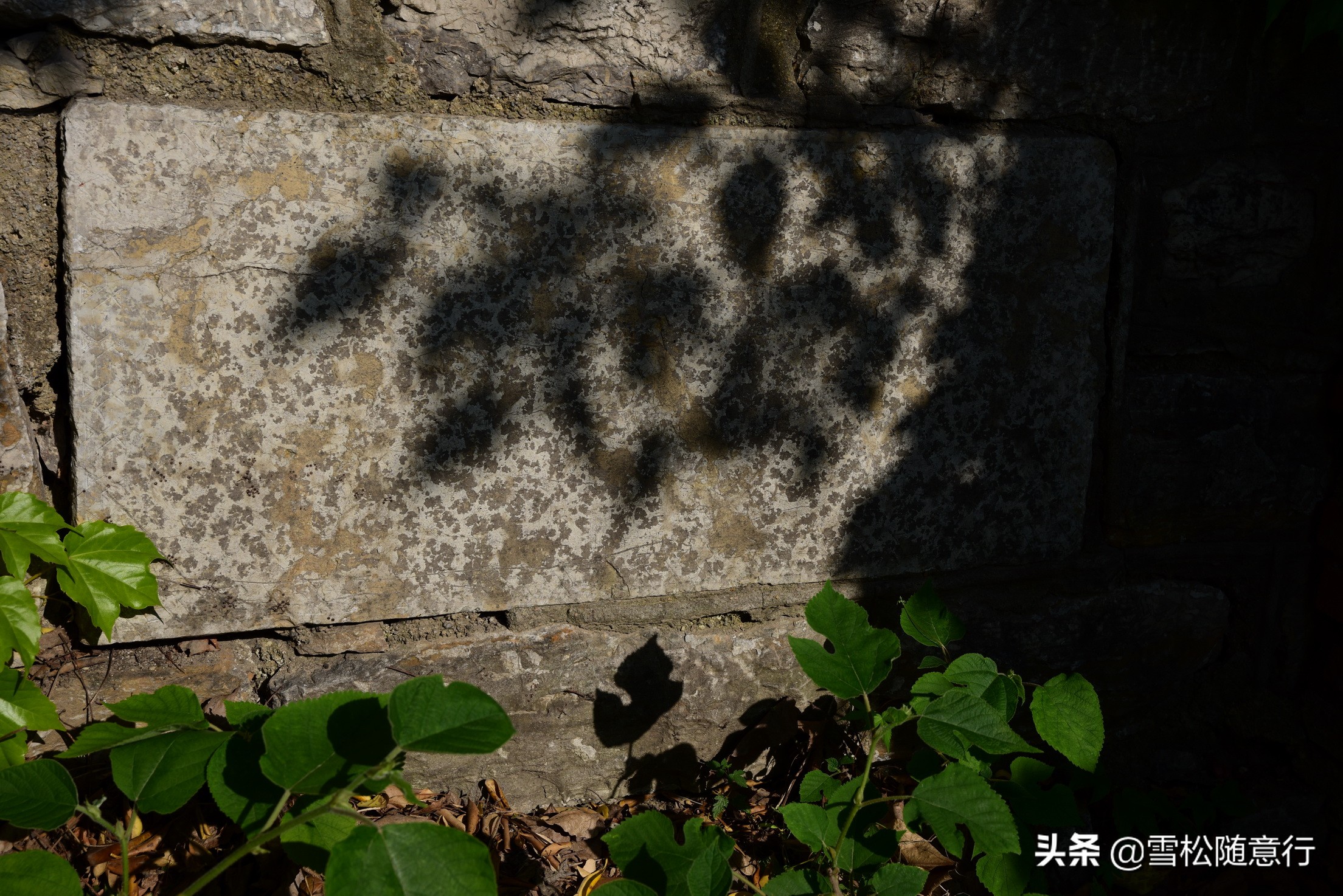 徐州铜山县茅村镇洞山村,一座充满异域风情的神秘寺庙
