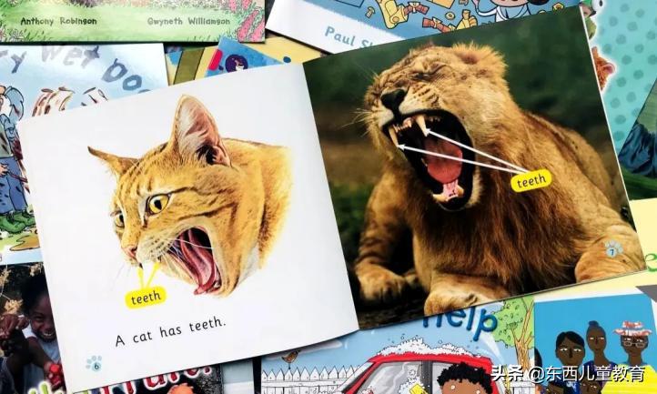 如果2-8岁孩子急需英语启蒙阅读，选分级王者《大猫》绝对没错