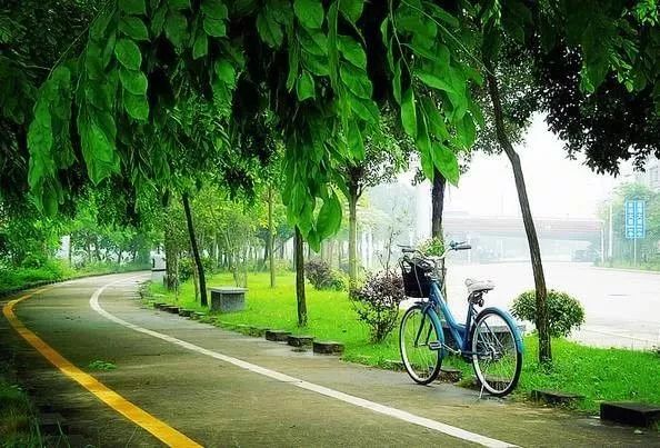 干货丨在广州来这拍照就对啦，制霸朋友圈从今天开始