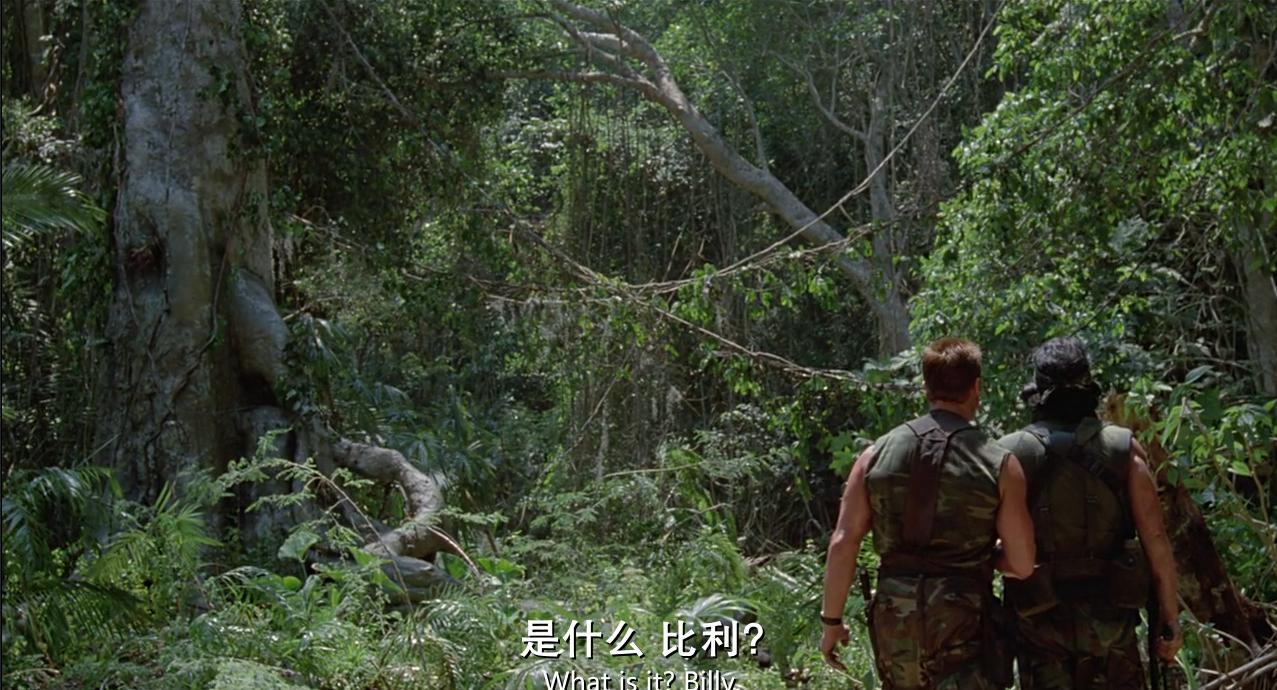 铁血战士系列解析,铁血战士形态全部解析