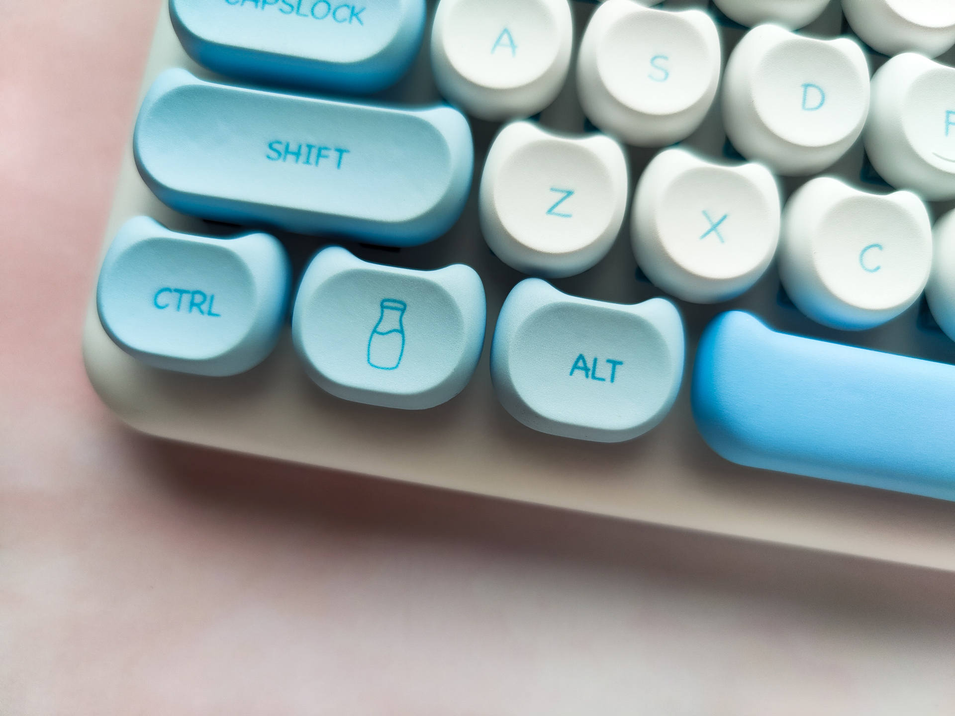 给领导迟到的礼物——IQUNIXM80萌萌波斯简单晒