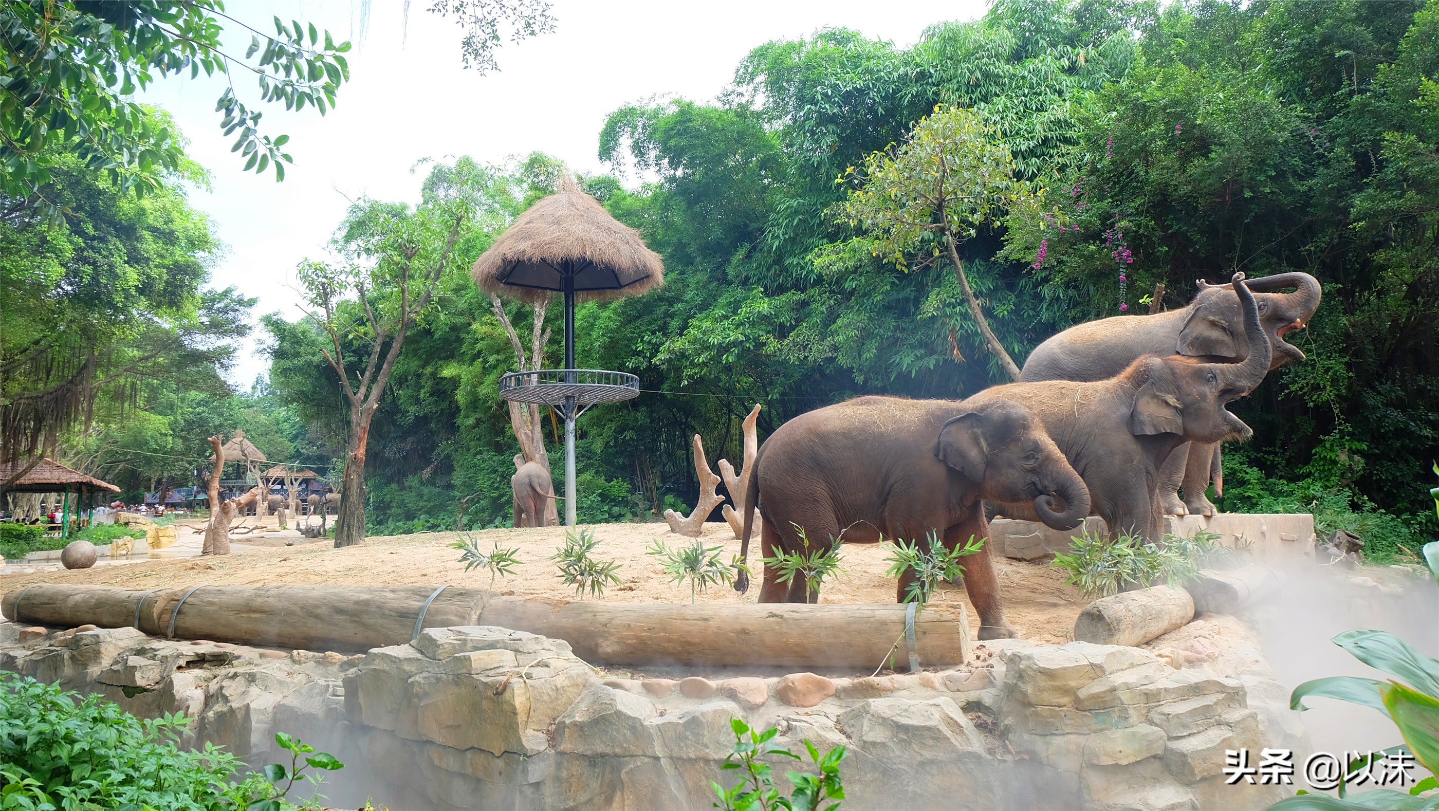 长隆野生动物世界游玩攻略,长隆野生动物世界带娃攻略