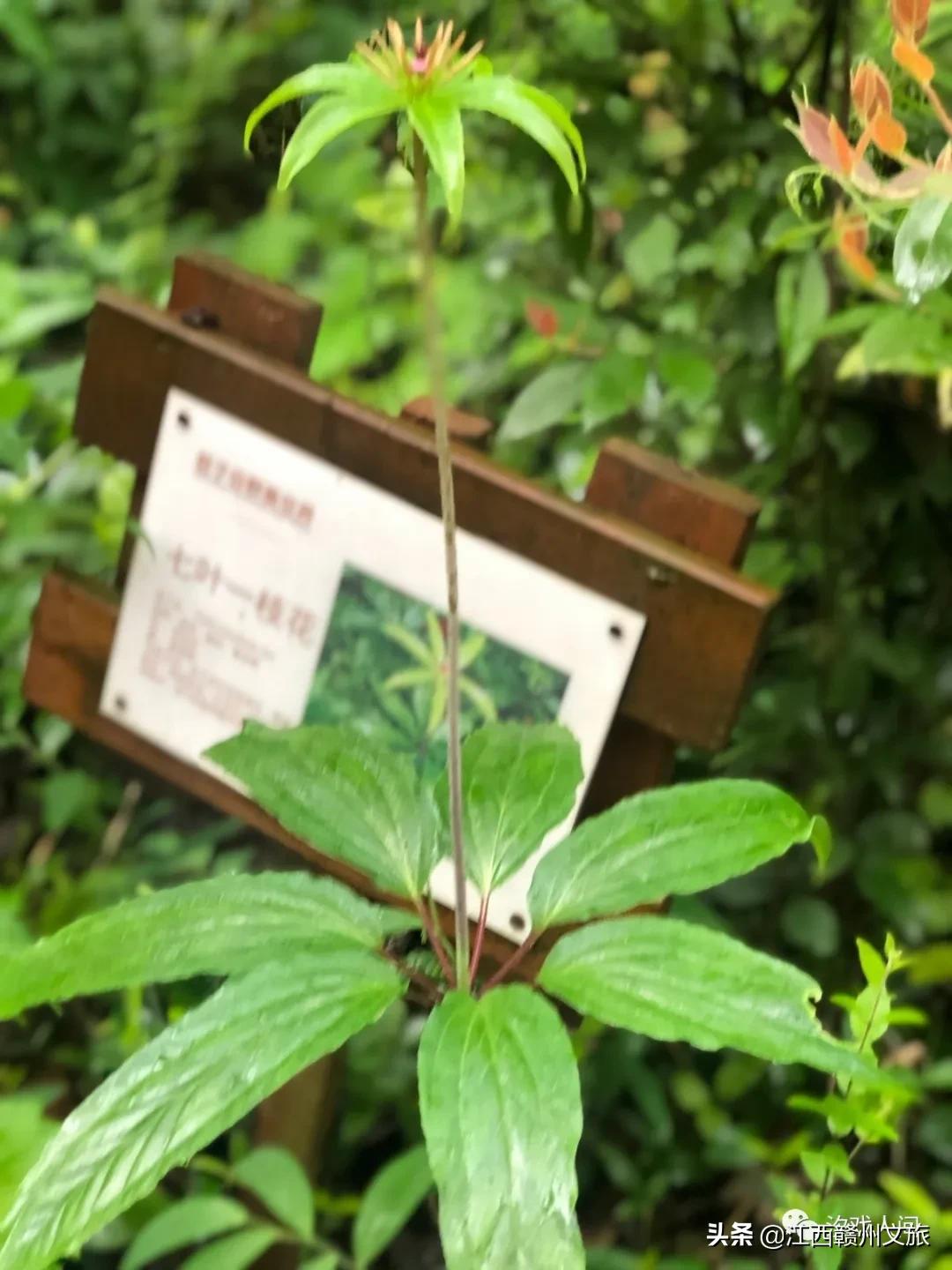 赣州亚马逊电商平台概念,赣州有亚马逊吗