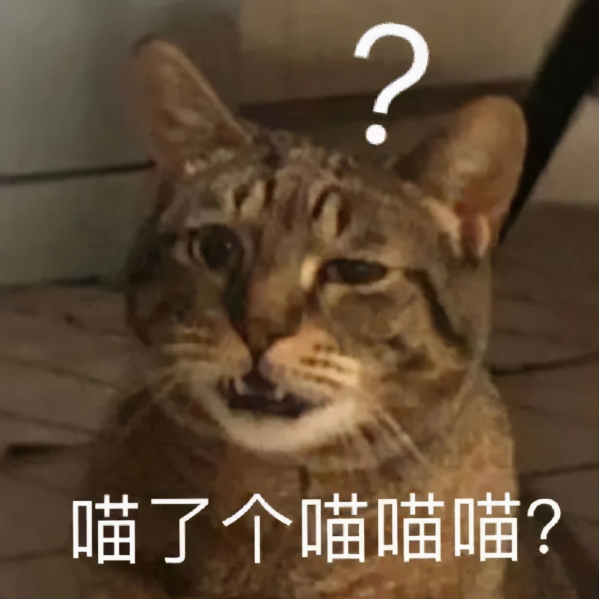 红疹不痒就不是梅毒吗,皮肤过敏起红疹子会怎么样