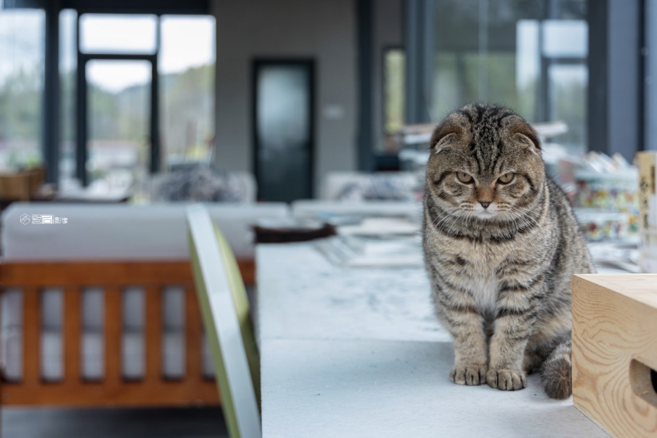景别五个拍摄技巧图片,拍摄景别图解