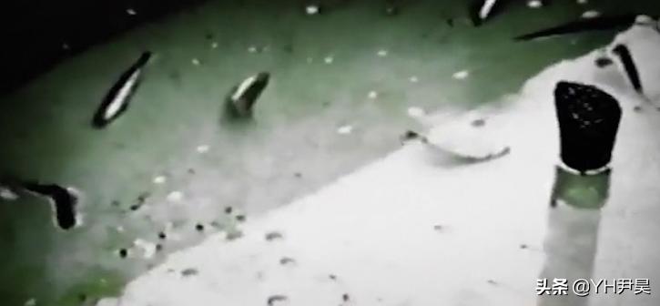 1998年美国海岸大批生物突发异样，专家共同侦查，真凶竟是天气