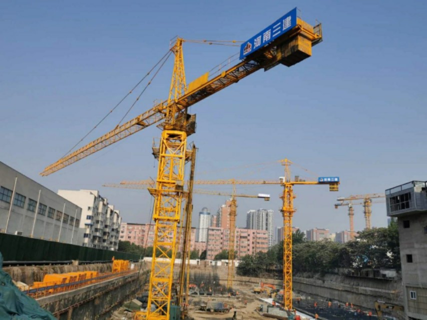 金水“孤品”，看常绿风起云涌