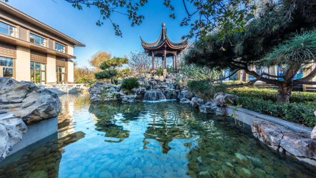 『院』归来，已是后浪