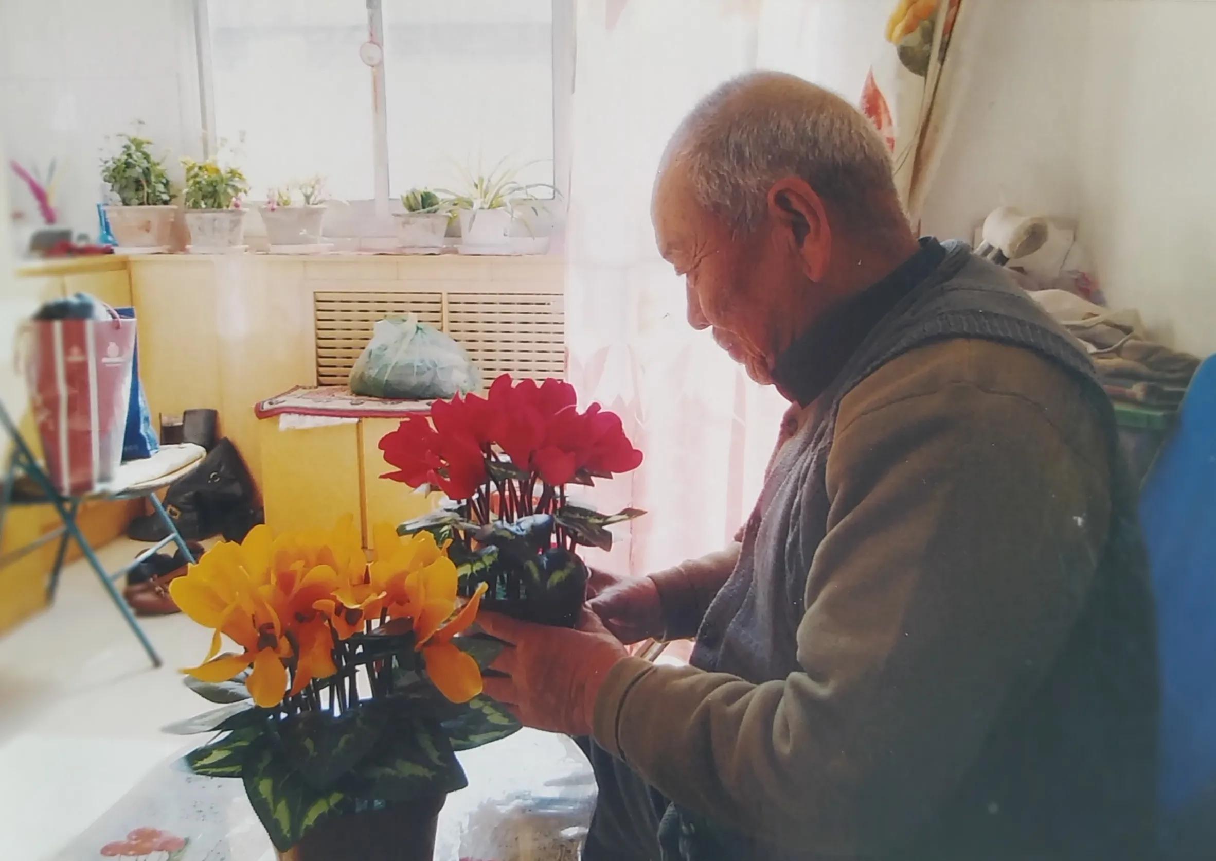 谁言寸草心,报得三春晖-----追忆我的父亲母亲