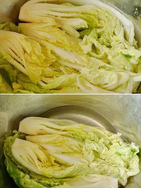 闊╁浗娉¤彍杈g櫧鑿滄渶姝e畻鍋氭硶,闊╁浗钀濆崪娉¤彍姝e畻鍋氭硶