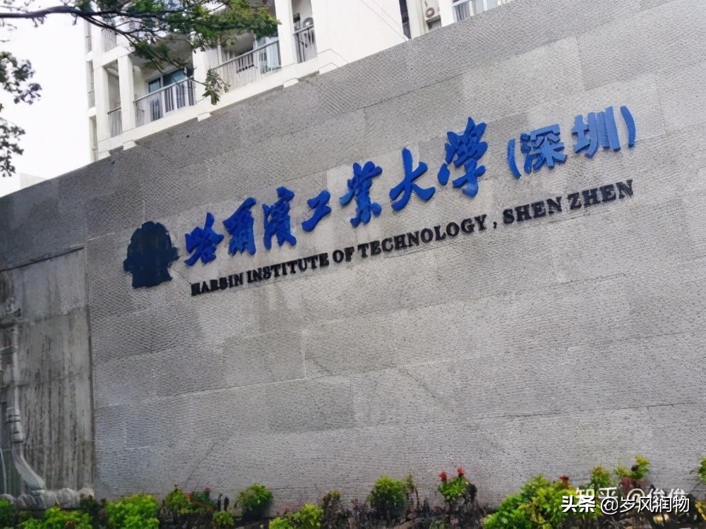 河北省衡水中学的优势,衡水十三中和衡水中学哪个更强