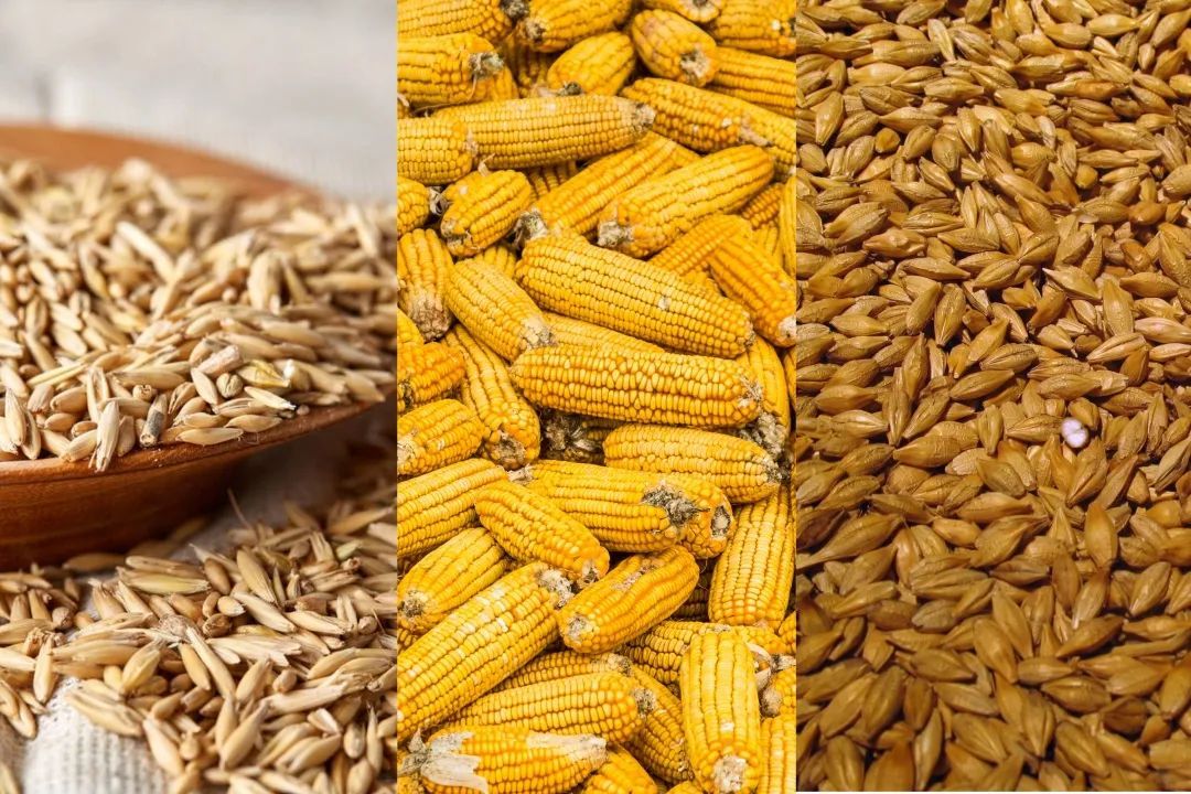 牛肉先锋|挑选好牛肉的锦囊妙计,“庖丁解牛”了解一下