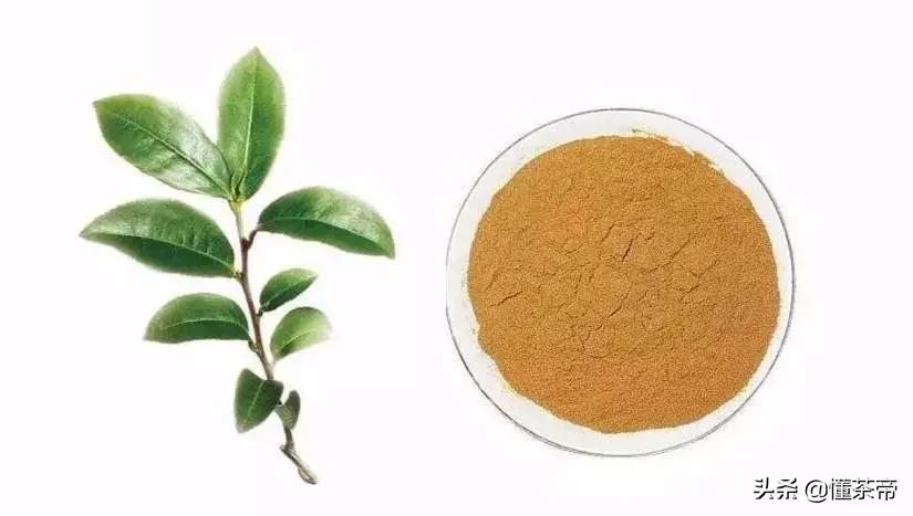 喝茶过多易失眠,大量喝水能不能破?