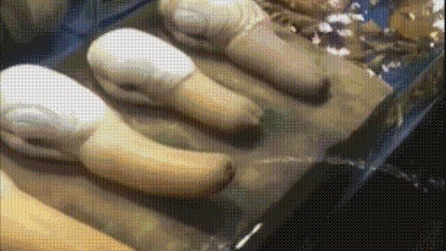 蚬蚌蛏的区别是什么,蚶子蛤蜊蚬子区别