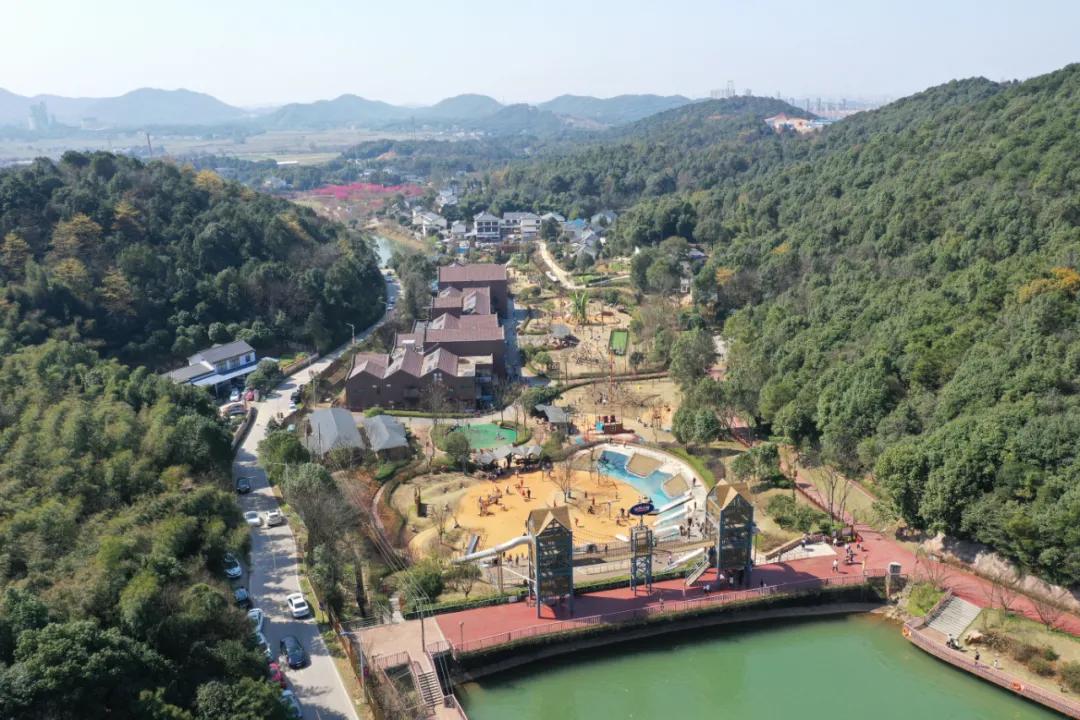 好嗨“游”（11）|这一片早樱还不去赏，错过又得等一年