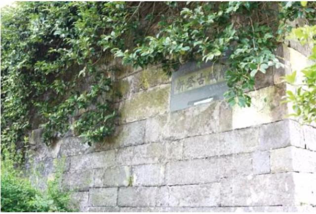 和新登携手，共赢未来！