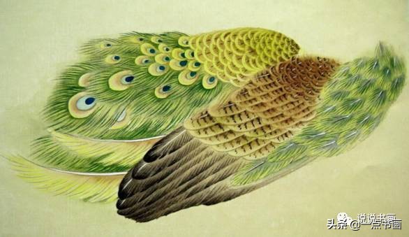工笔国画孔雀画高清大图,工笔孔雀的画法步骤