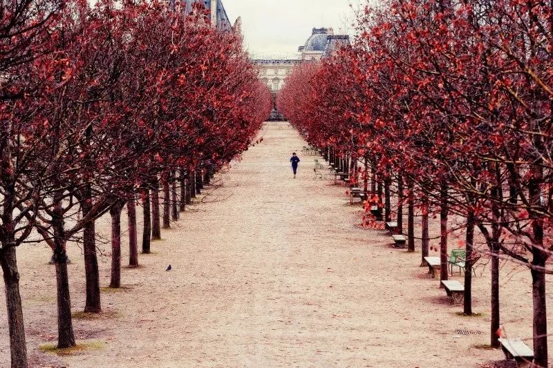 4分钟游欧洲攻略 (4分钟游欧洲全攻略)