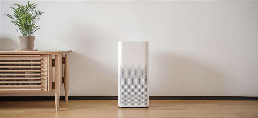 天然加湿器适合种什么绿植,空气加湿器种什么植物好