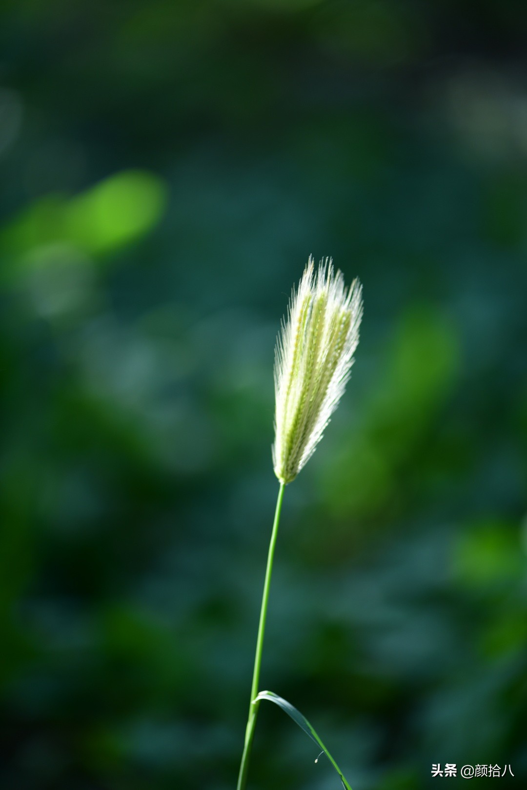 北京圆明园一日游推荐,圆明园秋色如画