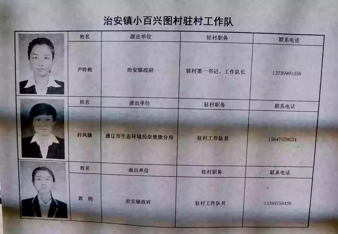 奈曼三花猫,奈曼三金