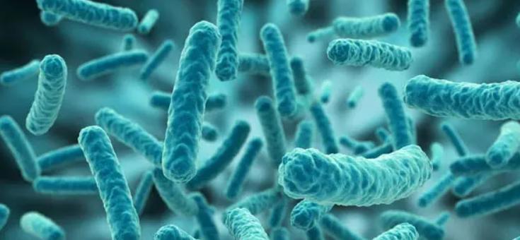 盗墓贼大多短命，真的是报应吗？