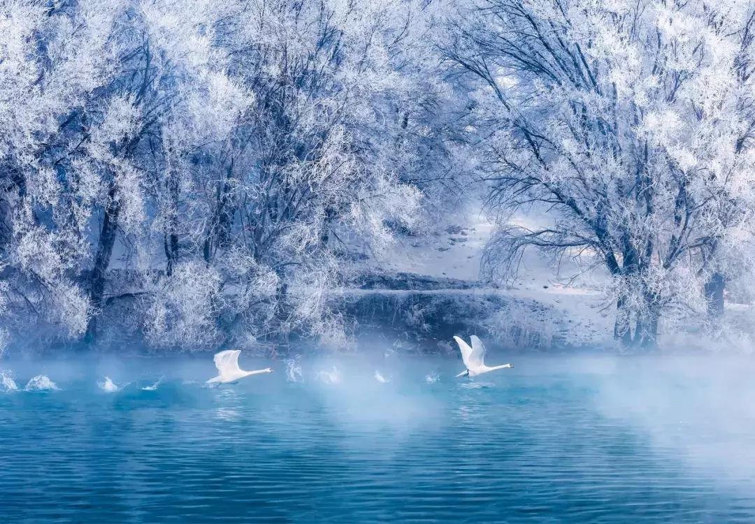 新疆的北疆和南疆哪个更美,北疆新疆之美