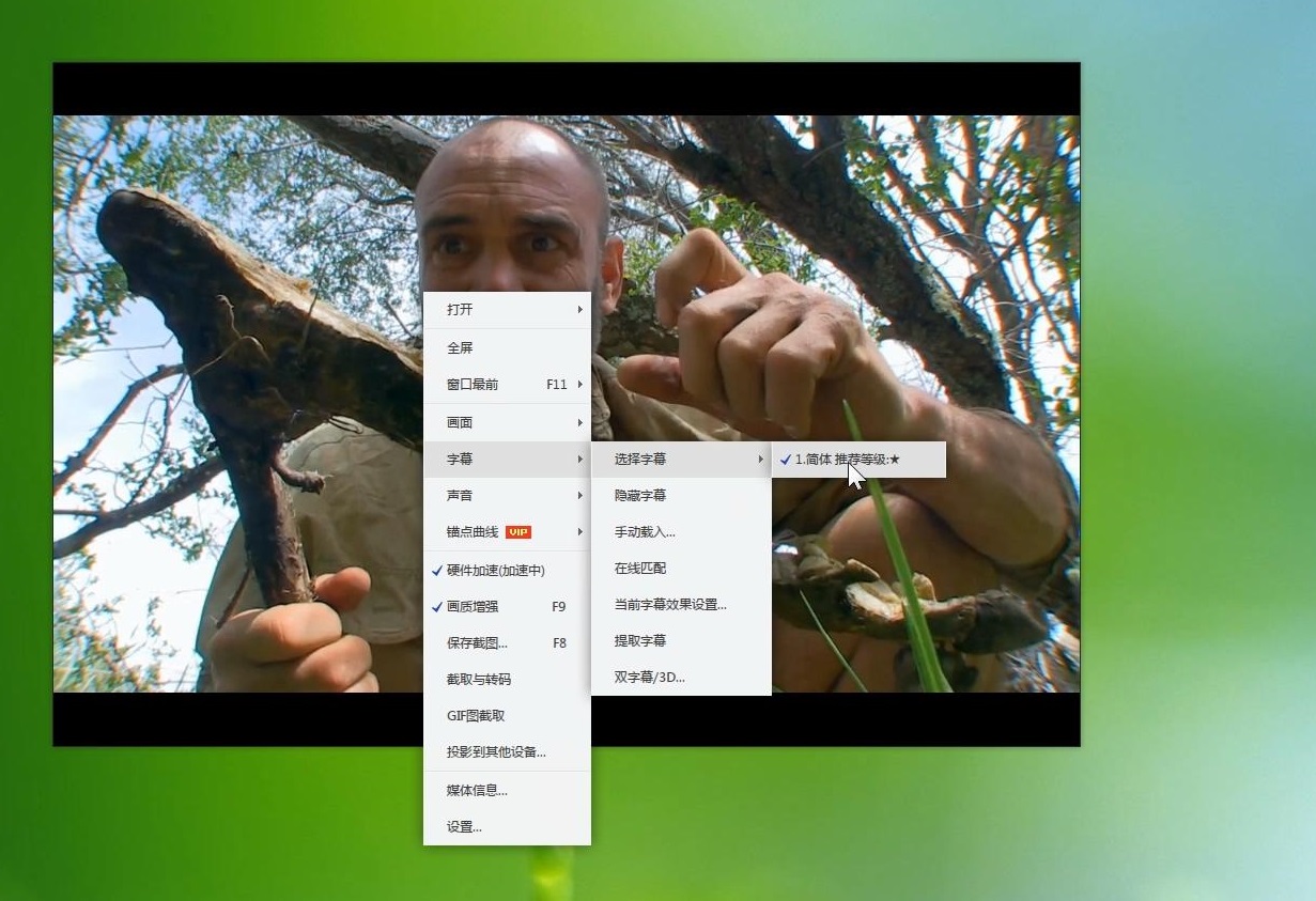 电影视频语音同步翻译器,什么视频平台可以免费加自动字幕