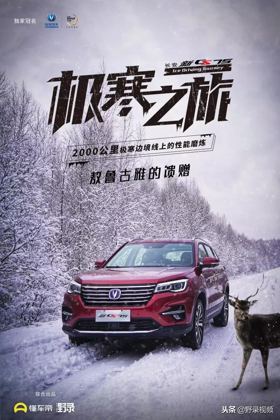 敖鲁古雅原始部落驯鹿喂草,敖鲁古雅驯鹿旅行