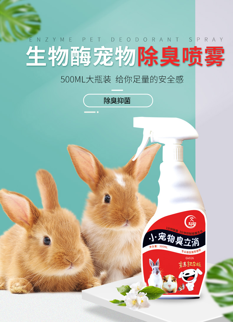 在屋里养兔兔如何避免有味道,养兔兔如何除臭最有效的方法