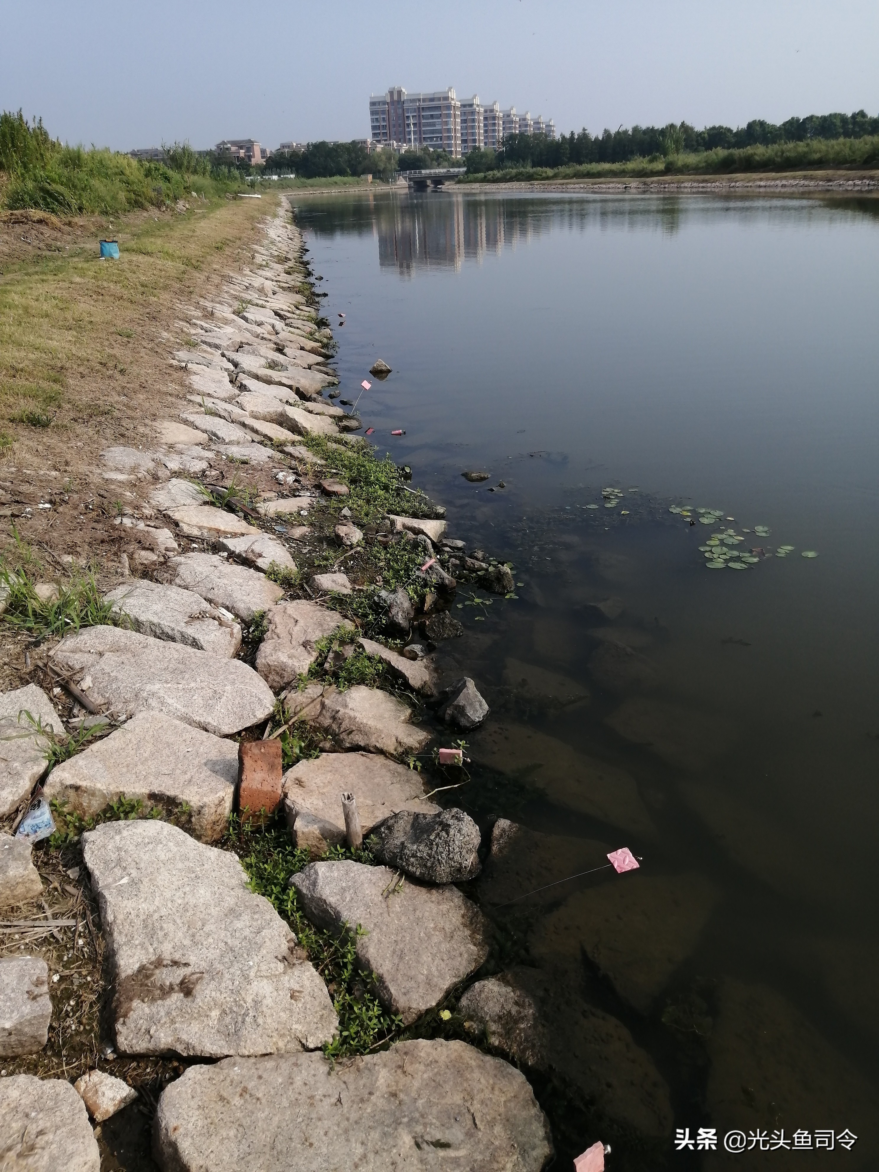 钓黄鳝引钩教学,钓黄鳝的引钩怎么做