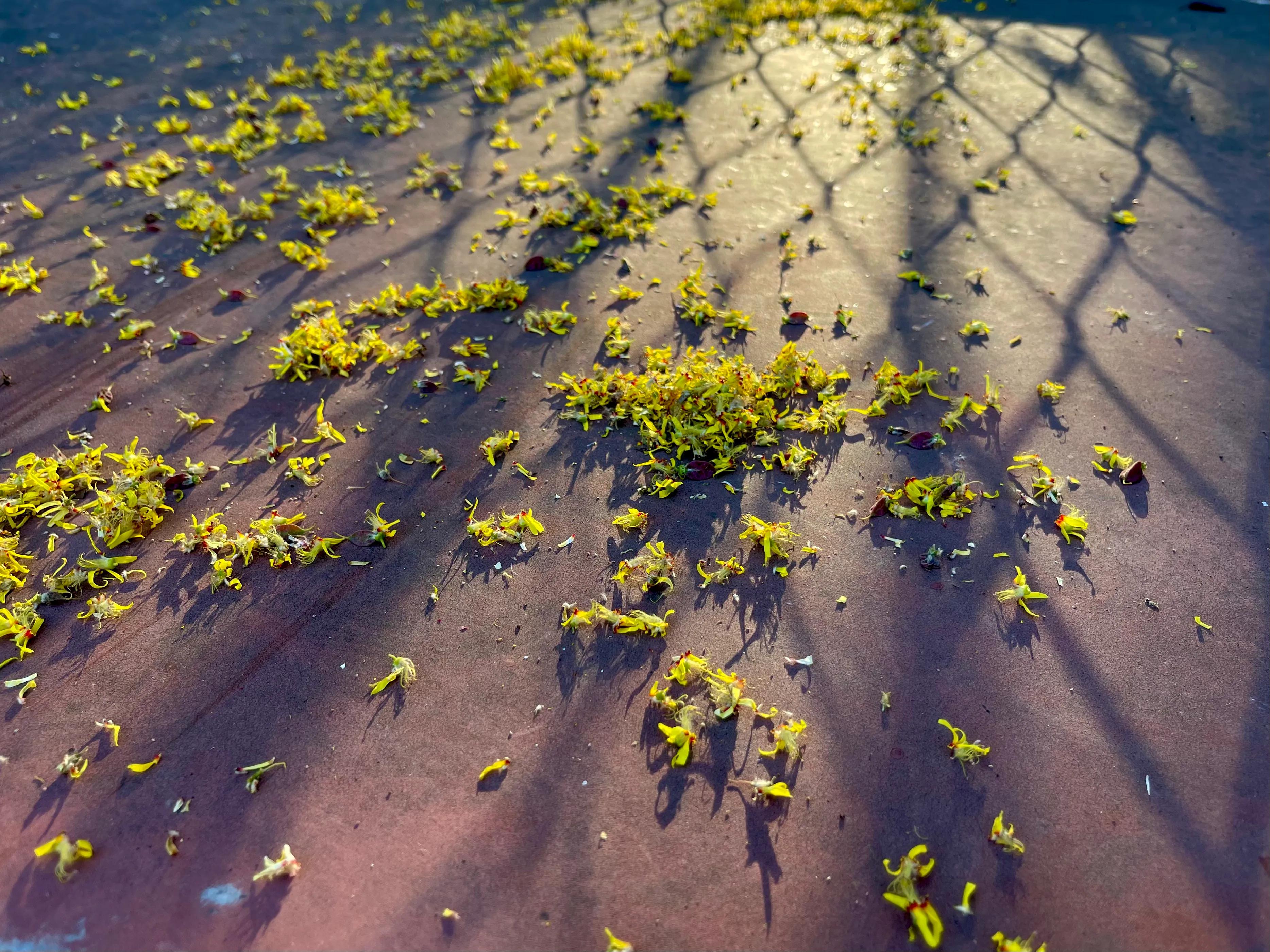 绉嬫棩绗旇鐩存挱,绉嬫棩绗旇