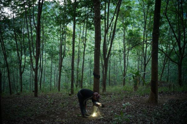 选乳胶枕头什么牌子好,泰国乳胶枕头品牌最新报价大全