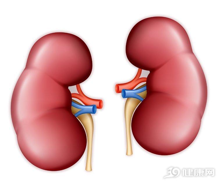 养肾就这么简单,养肾就是养命记住养肾的三字秘诀