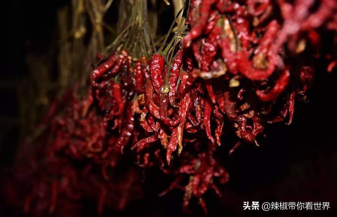 从西到东:贵州——沿河流“黔”行在这里一万种辣椒吃法向你奔来