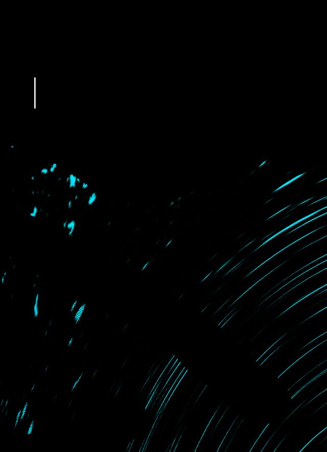 达达乐队南方草莓音乐节2012,达达乐队武汉