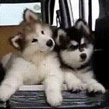 电脑键盘功能键及常用的快捷键,电脑键盘快捷键功能基础知识