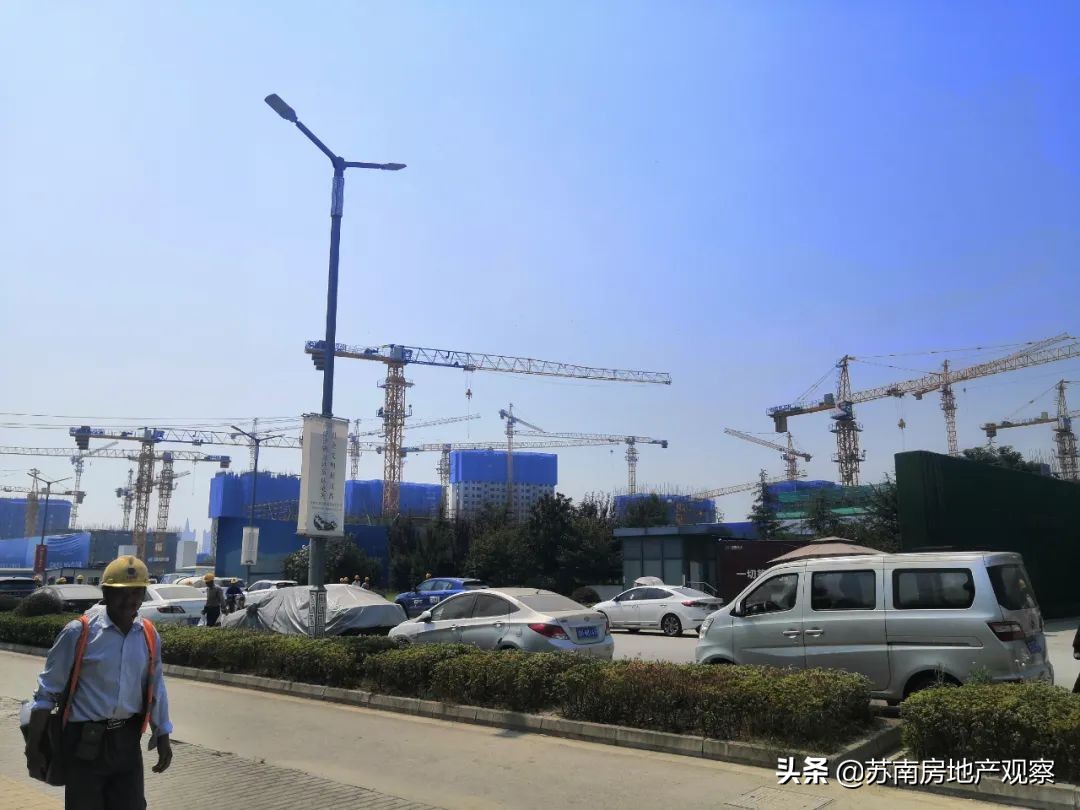 买花港,就是一场博弈