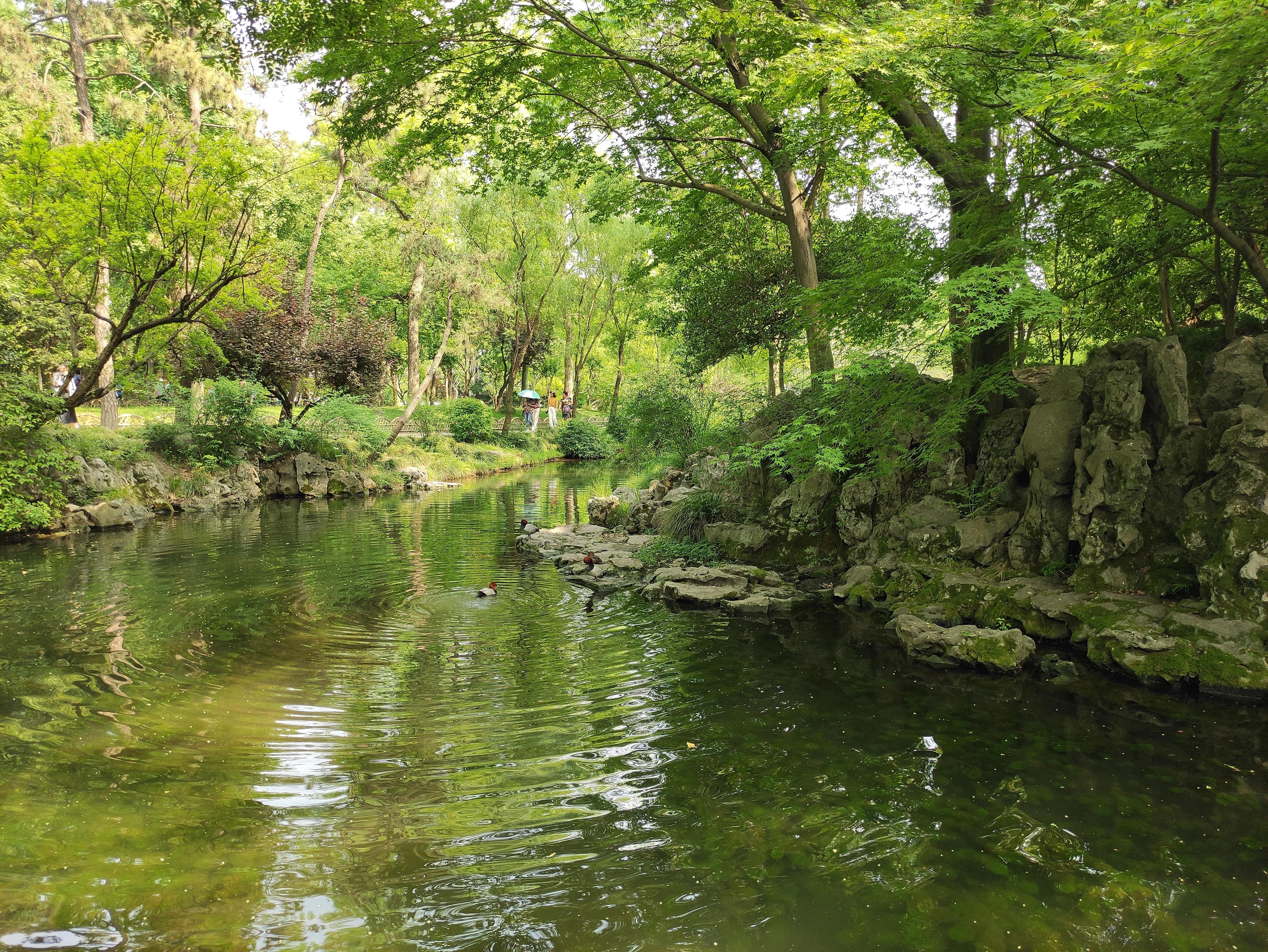 苏州园林拙政园详细简介,苏州园林拙政园别墅