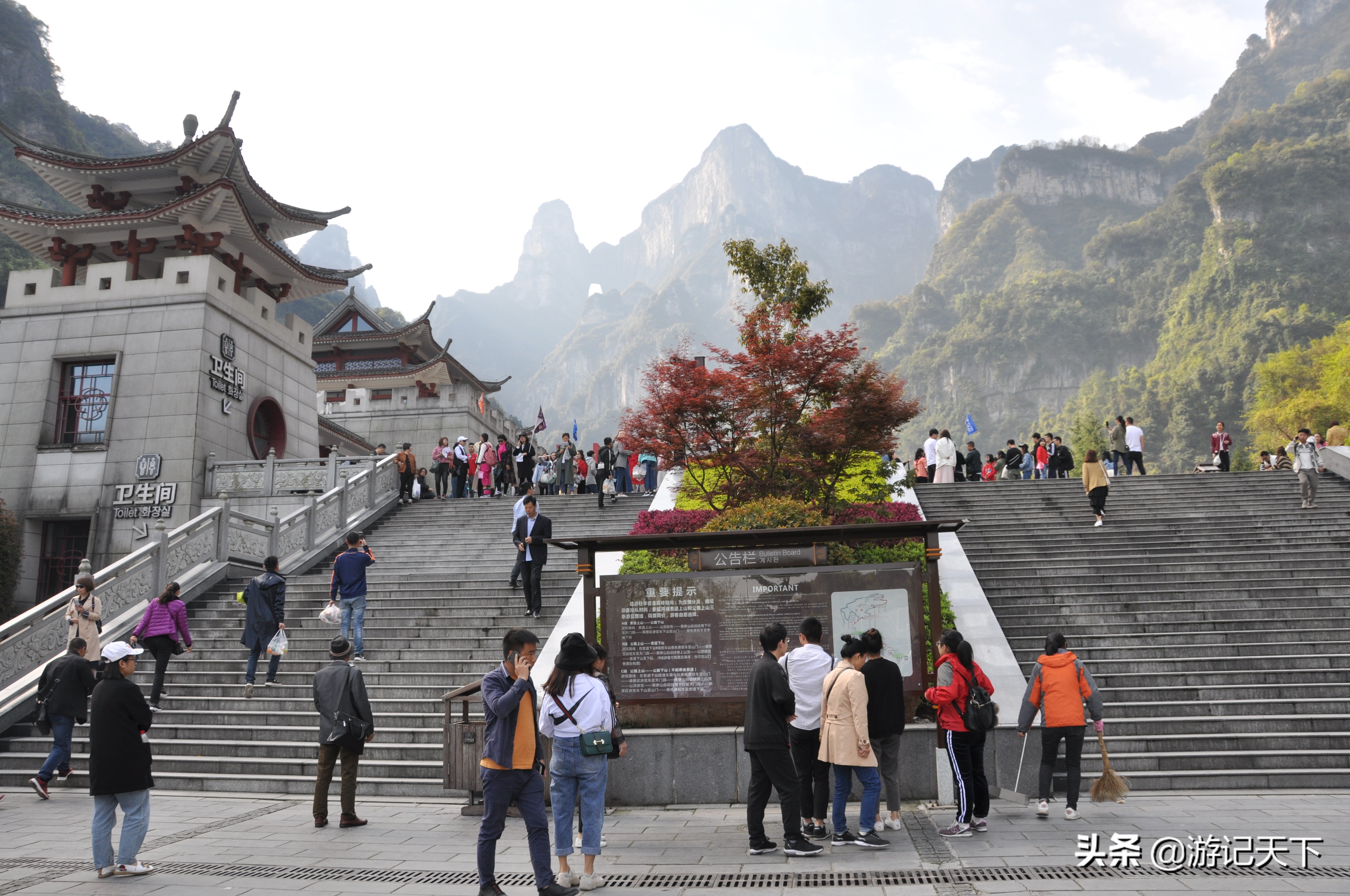 世界奇观张家界,世界奇观奇景