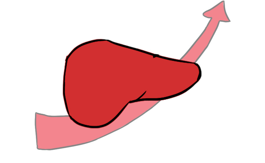 喝啥茶对肝脏排毒最快,科普肝脏是怎么排毒的