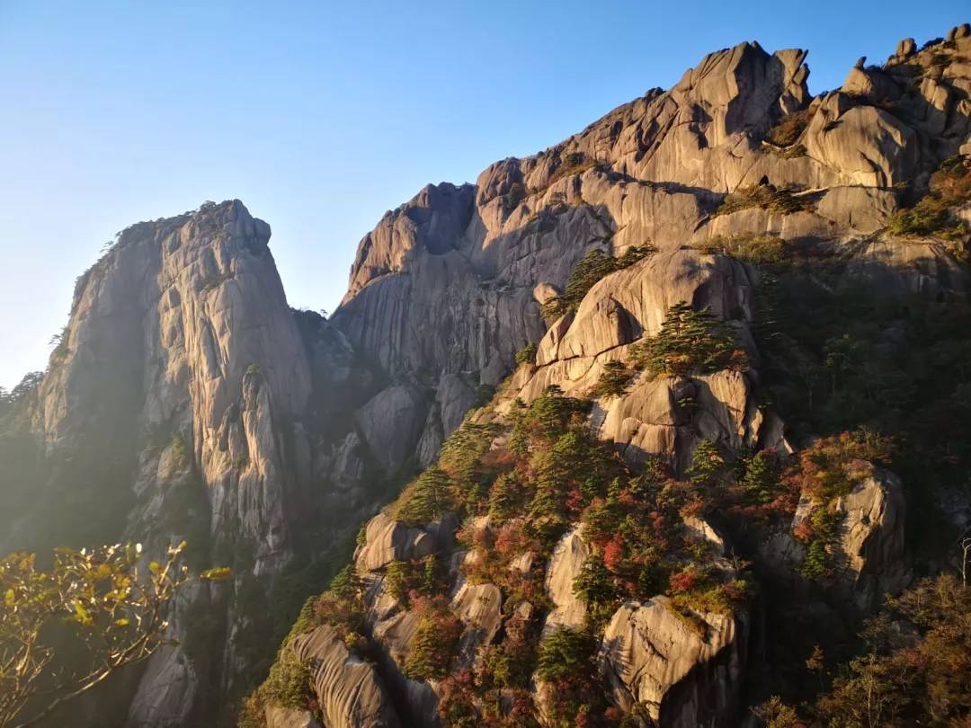 秋至黄山：当秋光与山色齐放