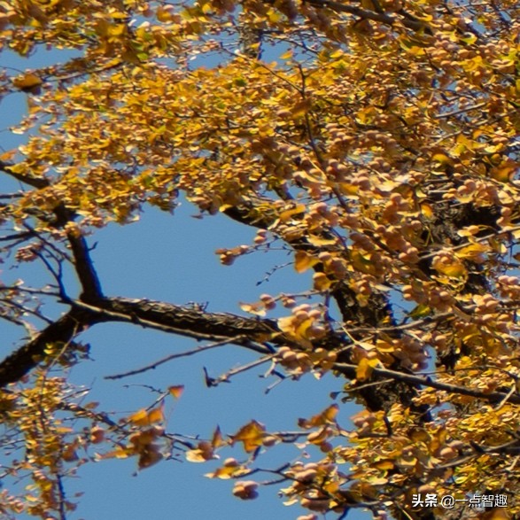 松下16-35f4,松下16-35f4和20-60镜头对比