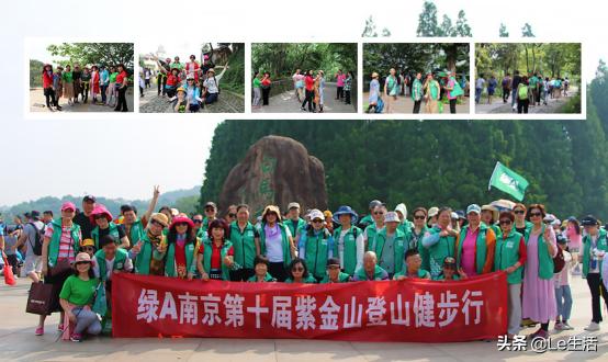 绿a螺旋藻,绿a天然螺旋藻的功效和作用