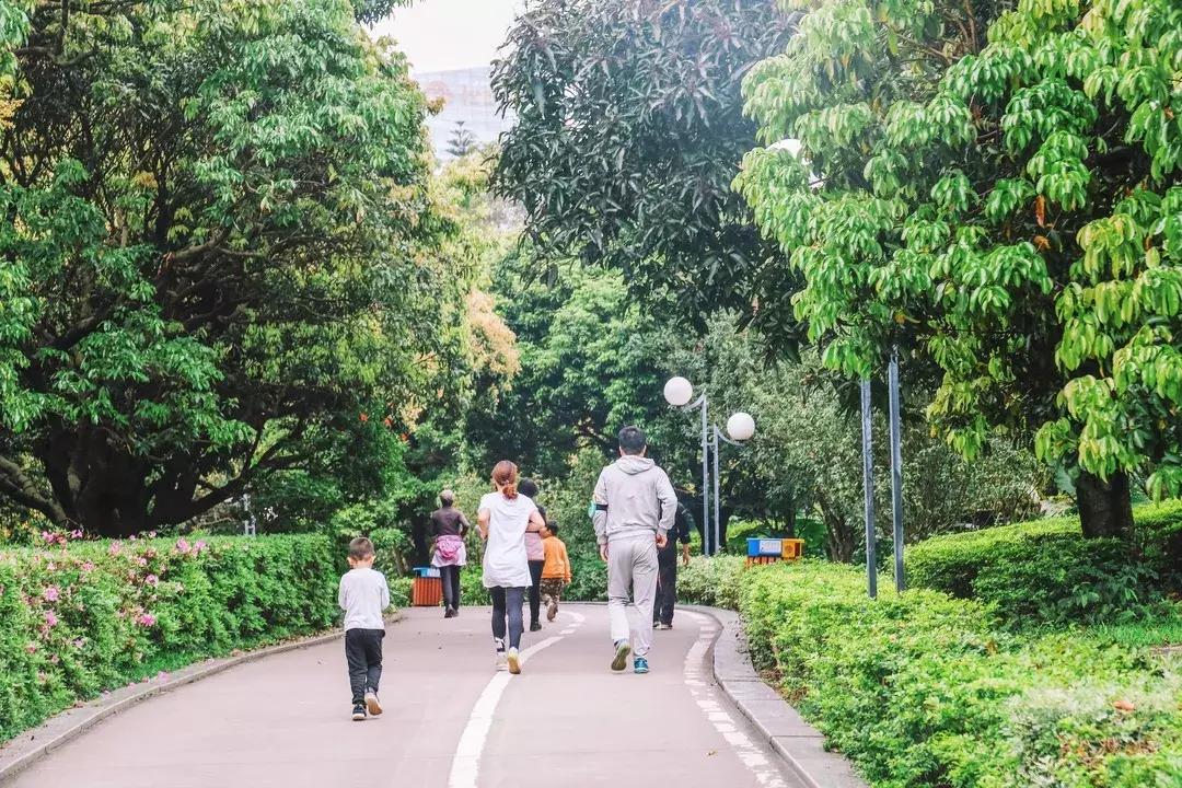 走进南头,这里是中山