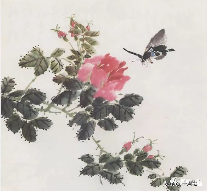 写意花鸟临本——月季画法
