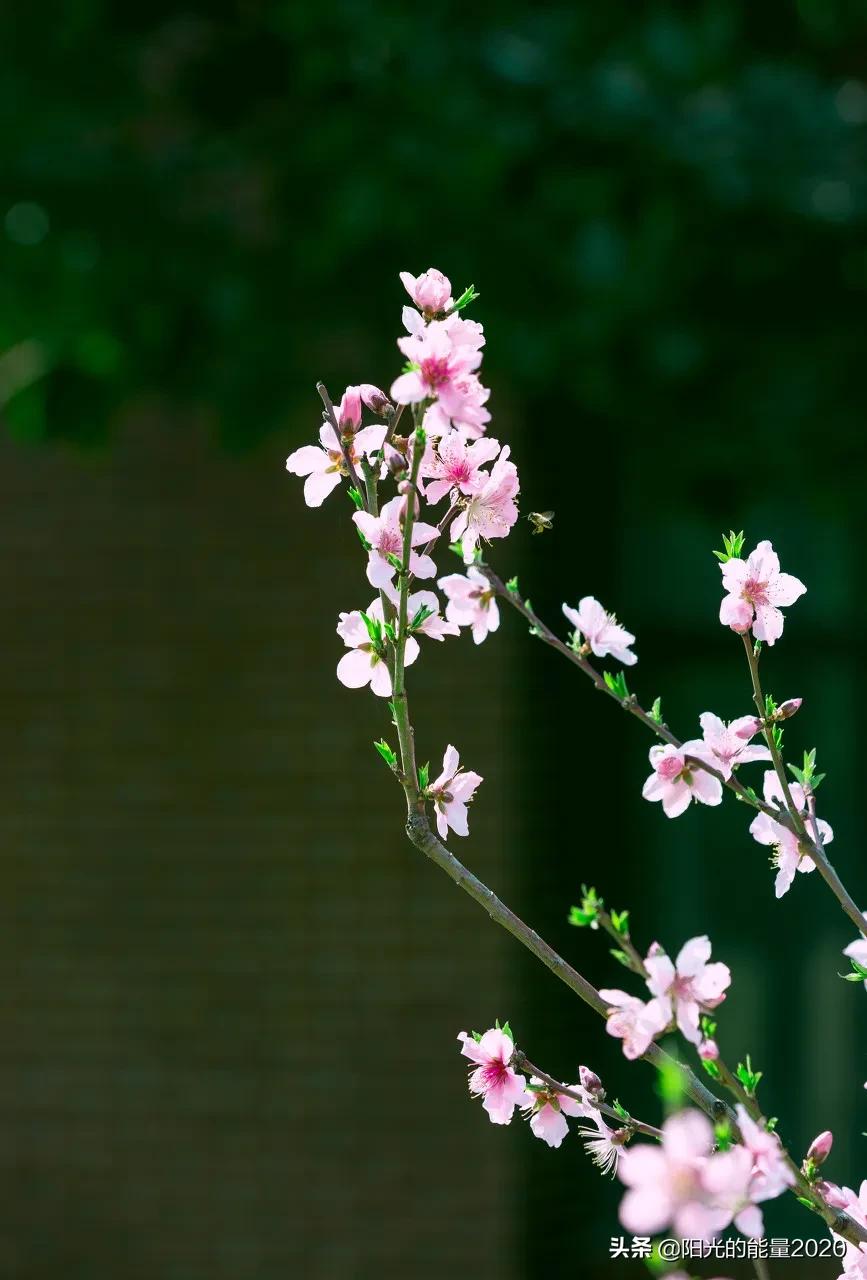 好在适度误在失度坏在过度下一句,败在过度误在失度成在适度