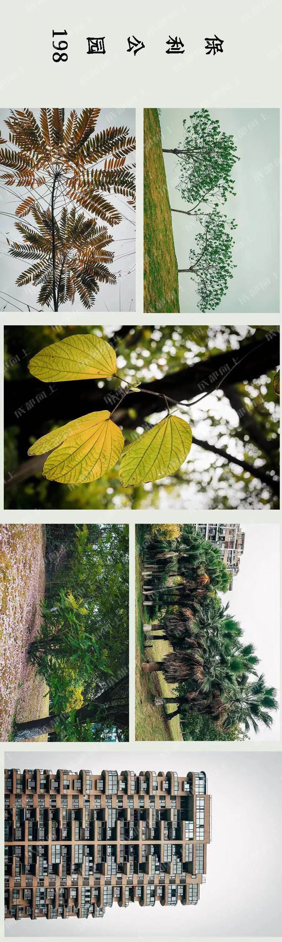 城北198：好与坏都让人“惊叹”